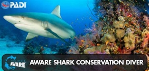AWARE Shark Conservation