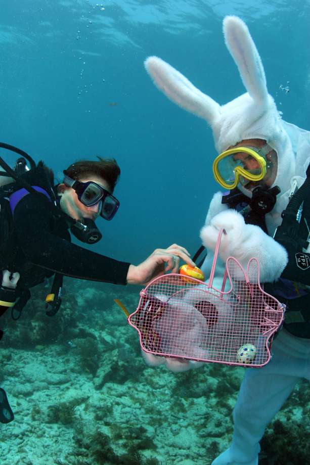 Underwater Egg Hunt