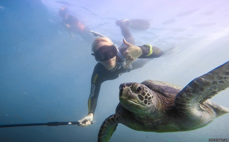 Turtle Selfie